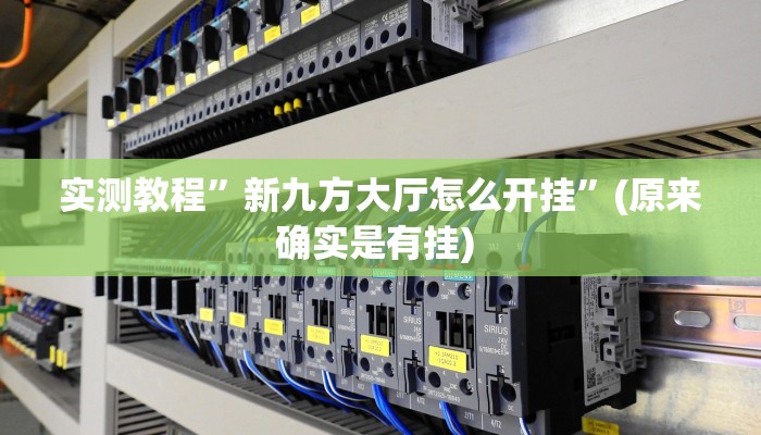 实测教程”新九方大厅怎么开挂”(原来确实是有挂) 