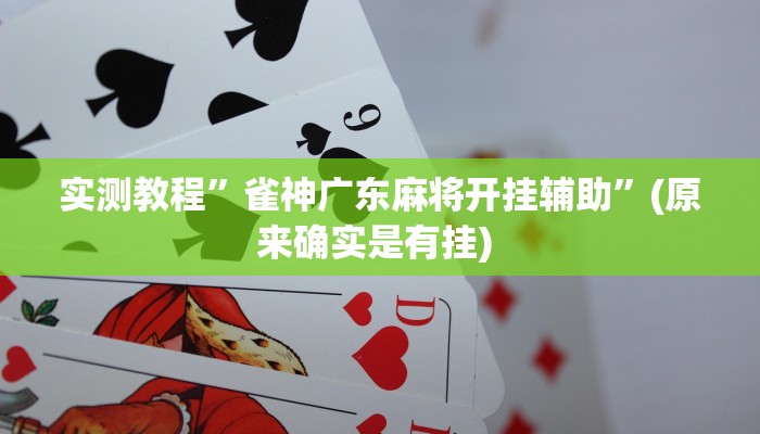 实测教程”wepoker俱乐部作弊辅助方法”(原来确实是有挂) 