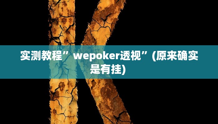 实测教程”德扑之星外挂透视辅助好用吗”确实真的有挂