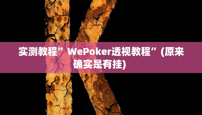 辅助神器“乐乐围棋入门怎么开挂”其实确实有挂