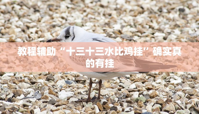 开挂辅助工具“先锋跑得快怎么开挂”其实确实有挂