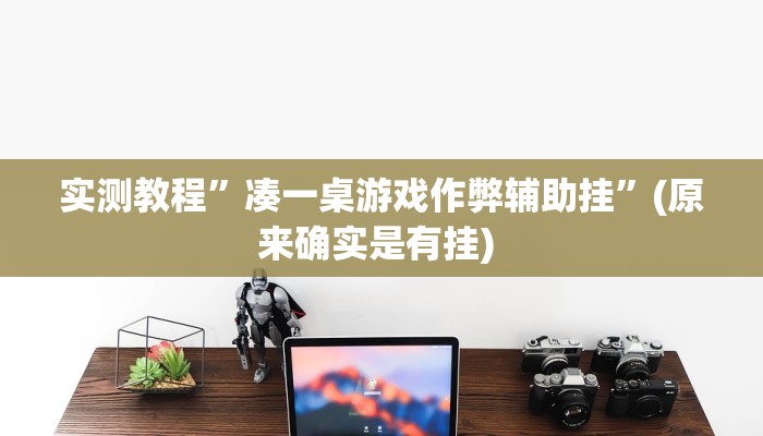 实测教程”hhpoker辅助作弊”确实真的有挂