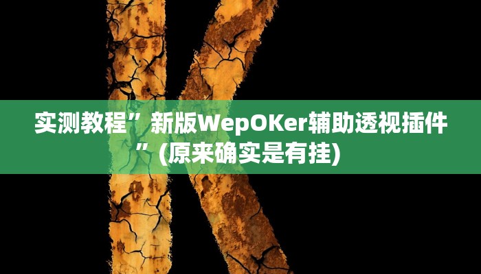 实测教程”风风棋牌助赢神器”确实真的有挂