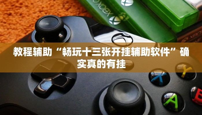 实测教程”趣玩贵州麻将用挂开挂软件”确实真的有挂