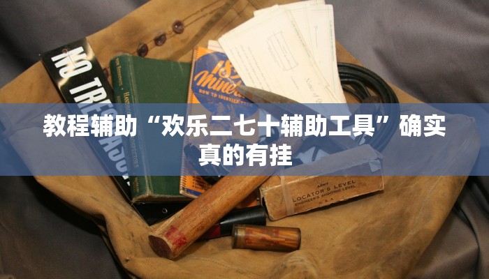 开挂辅助工具“金州水鱼开挂器”其实确实有挂