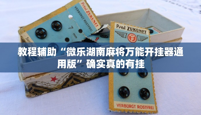 实测教程”werplan透视作弊方法”确实真的有挂