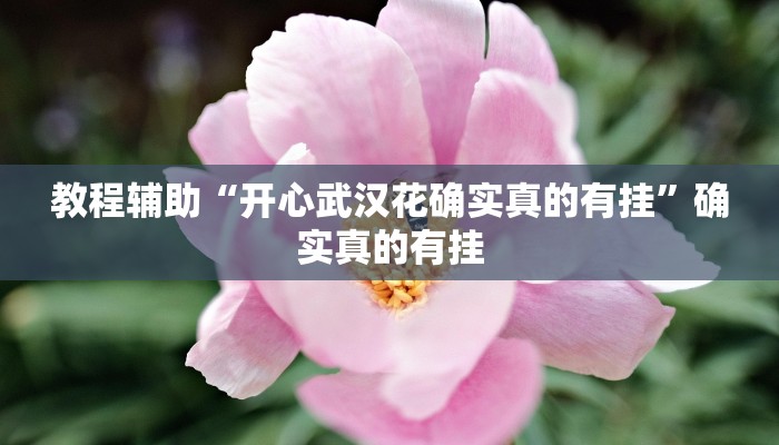 实测教程”TX哈尔滨棋牌助赢神器”确实真的有挂