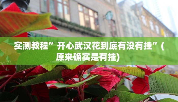 实测教程”wepoker开挂透视作弊挂”确实真的有挂