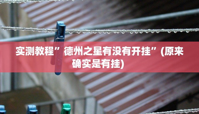 实测教程”wpkplus德州辅助透视挂”确实真的有挂
