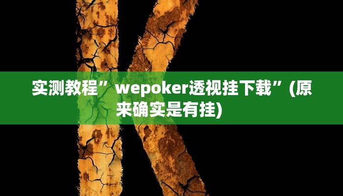 实测教程”桂林字牌开挂辅助器”确实真的有挂