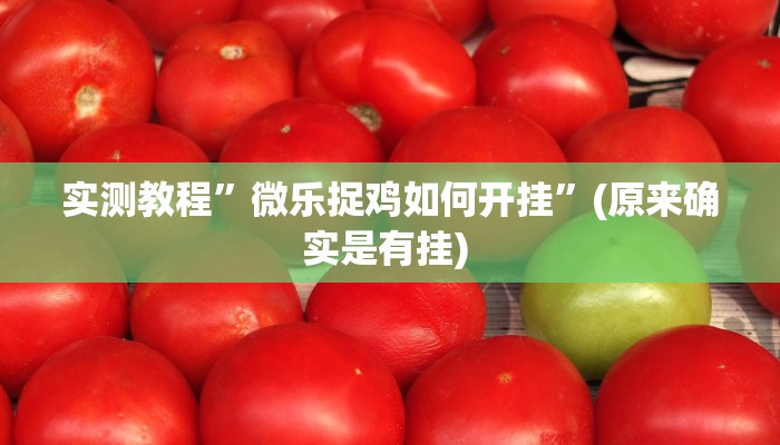 实测辅助”东游三张牌可以开挂吗”其实确实有挂