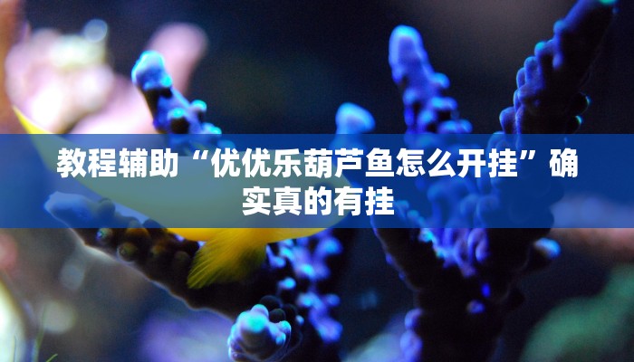 实测教程”wepoker德州局作弊挂软件”确实真的有挂