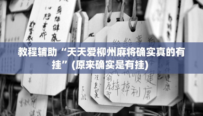 辅助神器“微乐干瞪眼小程序辅助器”其实确实有挂