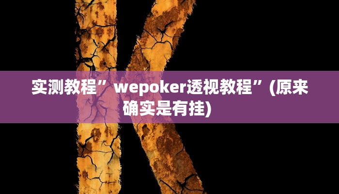 辅助神器“衣兆丰悦是不是有挂”详细开挂教程