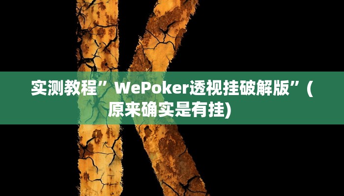 实测教程”wepoker辅助挂透视确实是真的”确实真的有挂
