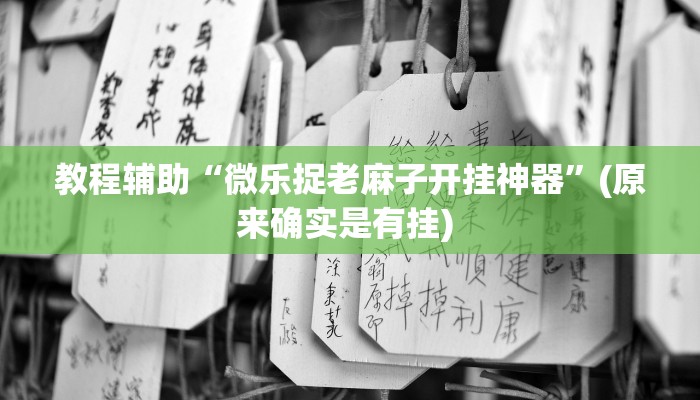 实测教程”黄金海岸怎么开挂”确实真的有挂