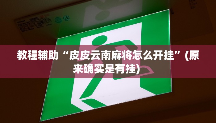 辅助神器“皇冠十三水辅助器链接”详细开挂教程