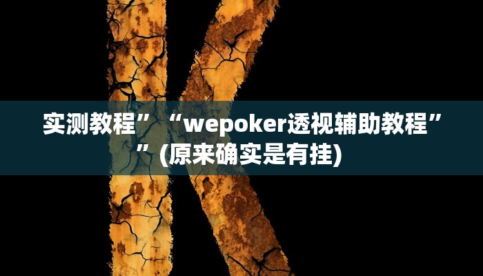 辅助神器“新九五大厅开挂辅助软件”其实确实有挂
