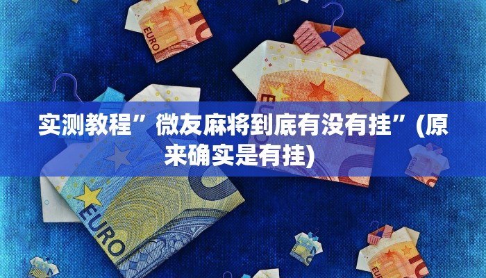 实测教程”乐乐川南字牌辅助器”确实真的有挂