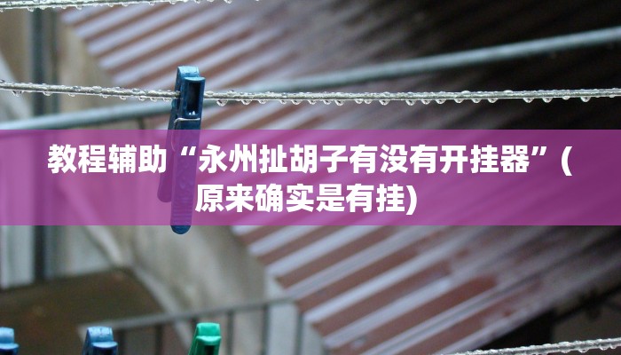 实测教程”掌酷十三张通用挂”确实真的有挂