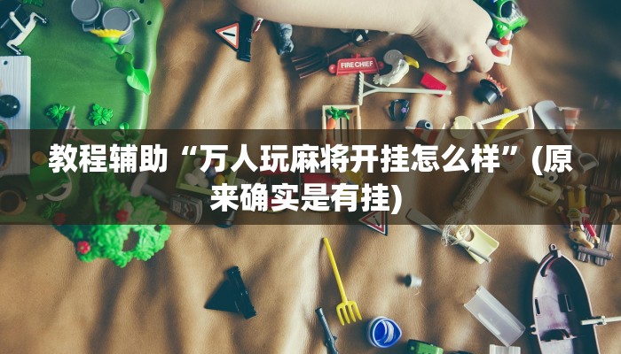 开挂辅助工具“财神十三张小程序怎样才能有好牌”其实确实有挂