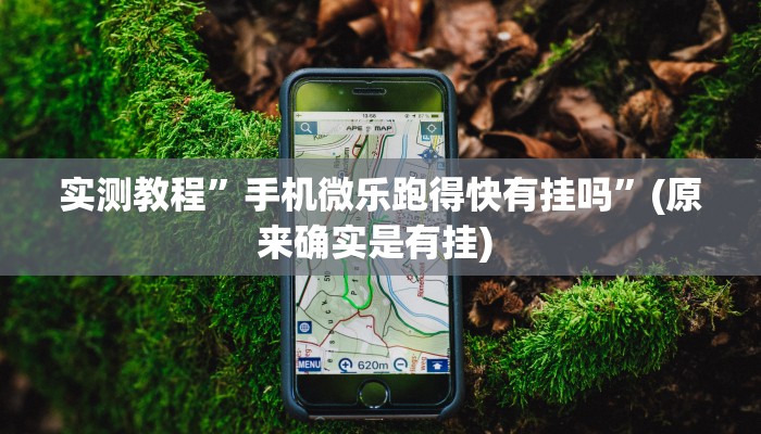 实测教程”博雅地方棋牌挂怎么安装”确实真的有挂