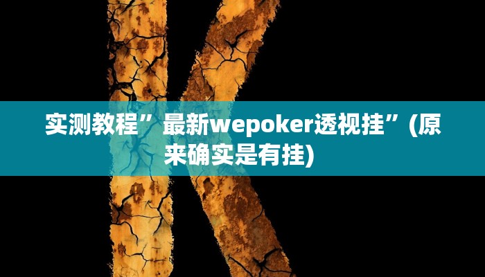实测教程”wepoker辅助挂透视方法”确实真的有挂