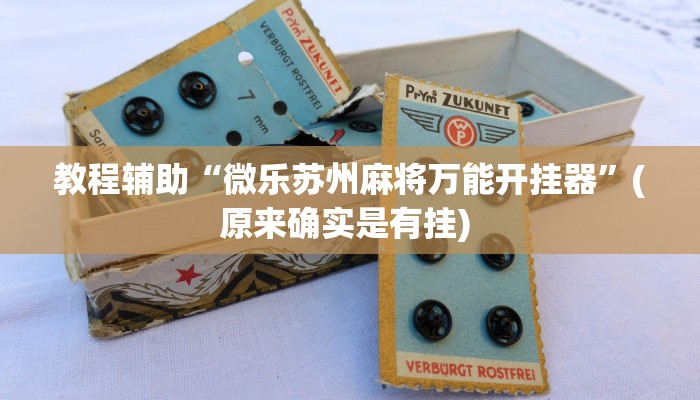 实测辅助”多米贵阳麻将有挂吗可以开挂吗”详细开挂教程