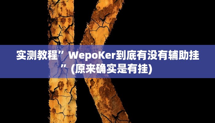 实测辅助”新畅游互娱开挂神器”其实确实有挂