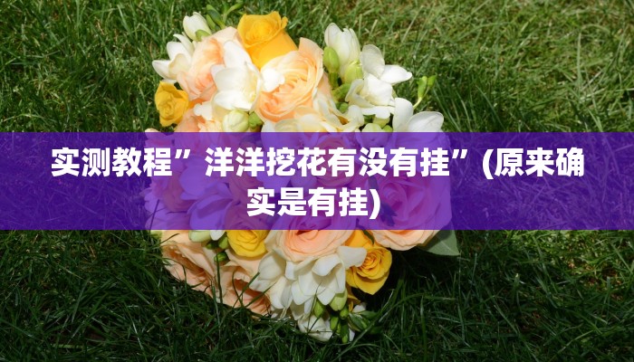 实测教程”欢乐达人能不能透视”确实真的有挂