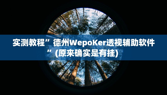 开挂辅助工具“广西跑胡子透视挂”其实确实有挂