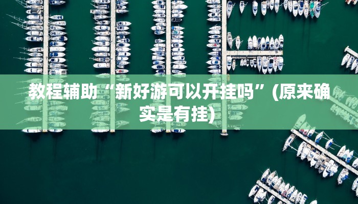 实测教程”新世界拼三张开挂教程”确实真的有挂