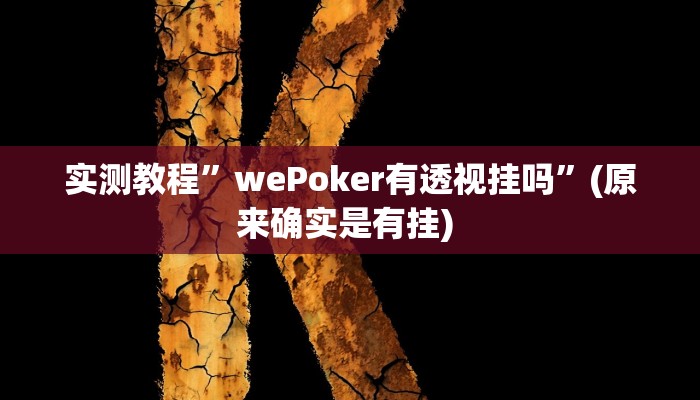 实测教程”wepokerplus透视软件辅助”确实真的有挂