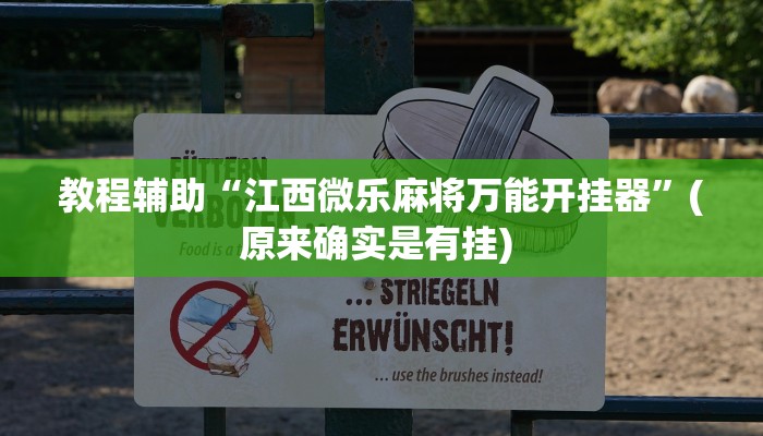开挂辅助工具“豆豆楚风麻将到底有没有挂”详细开挂教程