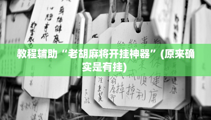 开挂辅助工具“精品乐清麻将控制来牌软件”详细开挂教程