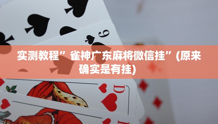 实测教程”羊城牌乐汇外卦辅助软件”确实真的有挂