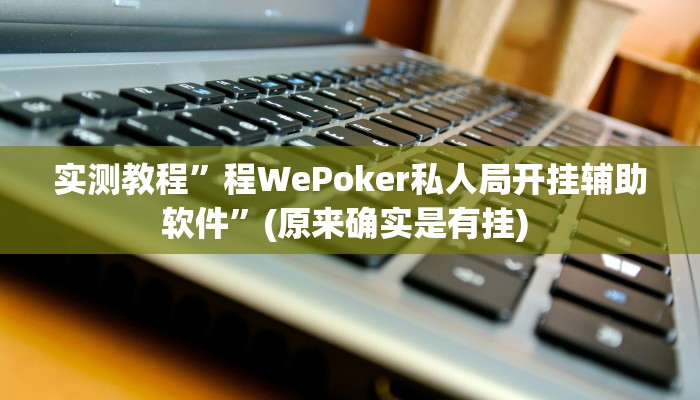 实测教程”wepoker轻量版究竟有透视挂吗”确实真的有挂