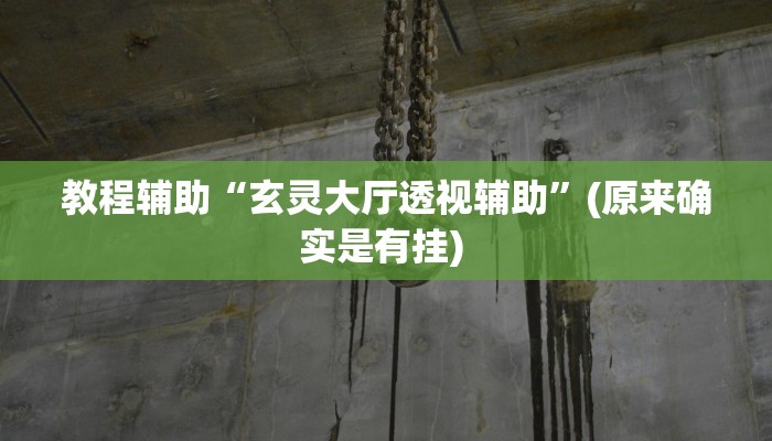 实测教程”wepoker作弊辅助透视挂”确实真的有挂