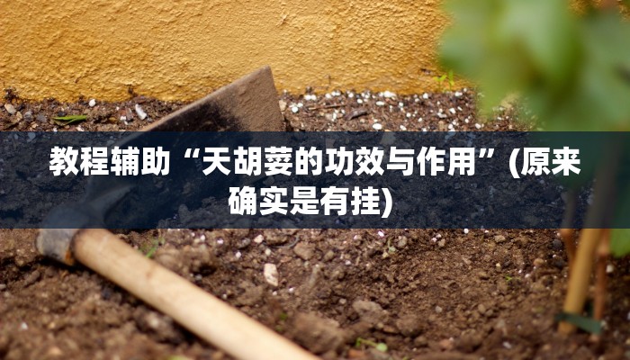 实测教程”德州扑克助赢神器”确实真的有挂