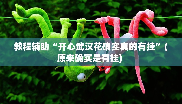 实测辅助”天富互娱可以开挂吗”详细开挂教程