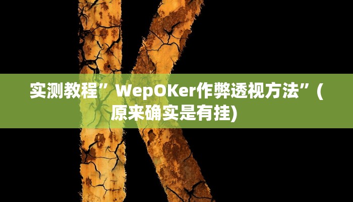 开挂辅助工具“衢州都莱开挂辅助软件”详细开挂教程