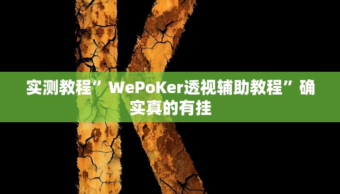 实测教程”AApoker 透视辅助作弊”确实真的有挂