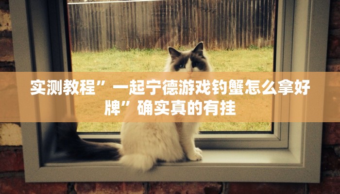 实测教程”皮皮四川麻将怎咋提高胜率根本赢不了”确实真的有挂