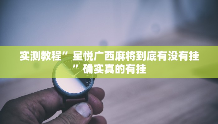 开挂辅助工具“来趣广西麻将外卦神器”其实确实有挂