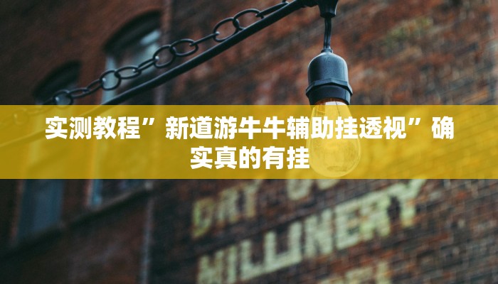 实测教程”9人拼三张开挂透视辅助”确实真的有挂