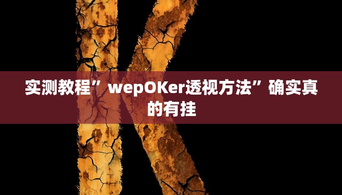 实测教程”德扑之星作弊透视方法”确实真的有挂