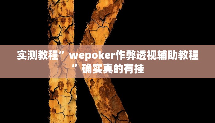 实测辅助”乐清十三水开挂教程”其实确实有挂