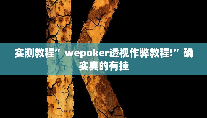 实测教程”新老夫子拼十挂怎么安装”确实真的有挂