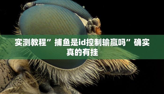 实测教程”微乐辽宁麻将辅助开挂教程”确实真的有挂