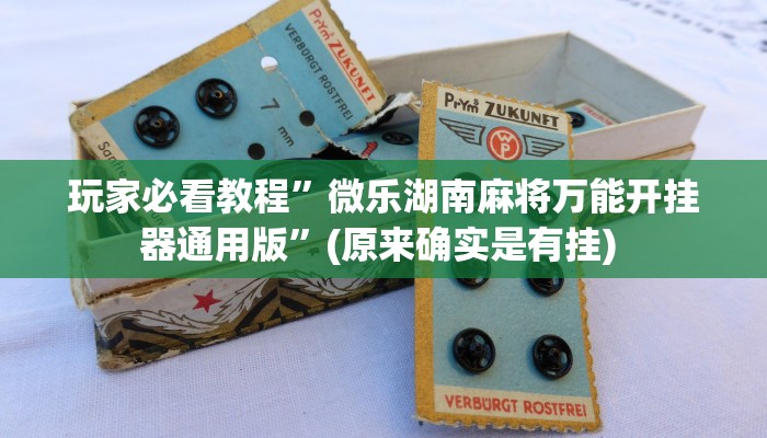 开挂辅助工具“麻友圈安全版开挂全过程”其实确实有挂